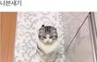 남사친들이 자꾸 날 좋아해