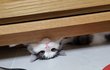 오늘의 톡