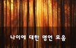 나이에 대한 명언 모음~