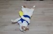 (통이네)우리 냥이는 공주입니다!!
