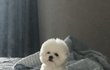 오늘의 톡