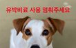 유박비료 사용 제발 멈춰주세요