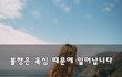 불행은 욕심 때문에 일어납니다~