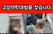 목포) 살아있는 관이 배달되었습니다. (고양이학대사건) 사진有
