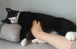 울집 고영희 보고가...(4탄 눕방)