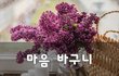 마음 바구니~