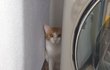 부산 태풍ㅜㅜㅜ울냥이 바람소리 식겁했어