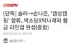 손나은 예능