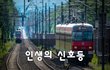 인생의 신호등~