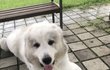 오늘의 톡