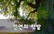 인연의 텃밭~