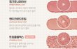 얘들아 이거 웜톤이야 쿨톤이야?