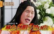내년졸업인데 대학전공지식없음...