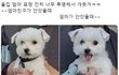나만 연락하는남자애1도없냐...?