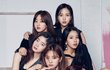 많이 갈린다는 트와이스 비주얼라인