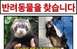 강북 도와줘