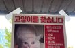 MBC <실화탐사대>에서 유일한 가족이었던 반려묘 아롱이를 찾습니다.