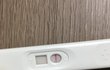 얼리임테기
