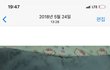 아빠한테 보내기 전 후 강아지사진