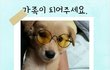 누리의 가족이 되어주세요