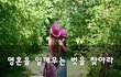 영혼을 일깨우는 벗을 찾아라~