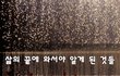 삶의 끝에 와서야 알게 된 것들~