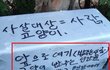 “고양이 밥주는 X 공기총으로 사살” 캣맘 협박글 논란