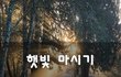 햇빛 마시기~