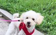 복덩이 구슬 이야기 ^^^