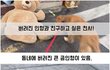 버려진 인형마저 거두고 싶어하는 천사견... (감동주의..)