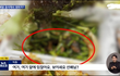 배달음식안에 살아있는 쥐가 충격 실검1위