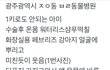 화장실용 방향제 페브리즈를 강아지 얼굴에 분사 후 웃는 동물병원