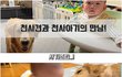 아기를 너무 사랑해서 항상 핥아주는 골든리트리버!