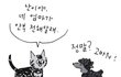 천국에 간 강아지와 고양이의 대화