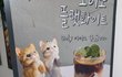 금수저 남자는 피임잘해도 서운해?ㅋㅋㄱ