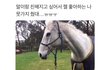 지방대, 전문대도 다 3등급이라고 하는 이유?