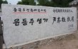 얘들아 윤동주시인 조선족이래