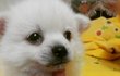 예쁜 내동생 보고 가요~