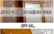 새벽 1시에 집안 개판쳐놓고 눈치보는 강아지.