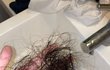 +얘드라 이정도면 탈모지..?