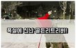 서울 폭설을 뚫고 산책하는 강아지 ㅋㅋ