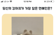 울 강아지 닮은 연예인 ㅋㅋㅋㅋㅋ