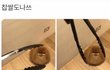 수만휘랑 이대랑 싸움 ㄷㄷ