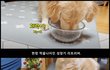 간식 챌린지 해봤어요!