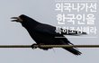 "외국가면 한국인을 특히 조심해라"