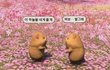 유튜브댓글 누가 젤 잘 따라하는지 대결하자
