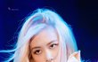로제