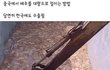 중국에서 배추 절이는법