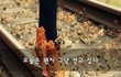 오늘은 왠지 그냥 걷고 싶다~
