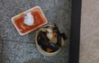 음식그릇 이렇게내놨다고 배달기사랑 싸움 저희잘못인가요?